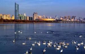 三門(mén)峽又一網(wǎng)紅景點(diǎn)，確定不來(lái)pick一下？